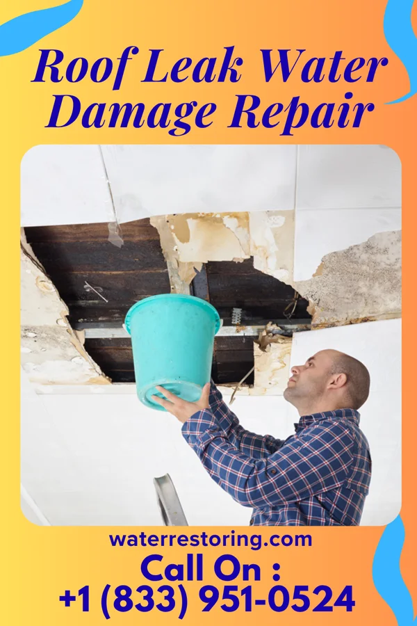 Roof Leak Water Damage Repair in Wetmore, KS