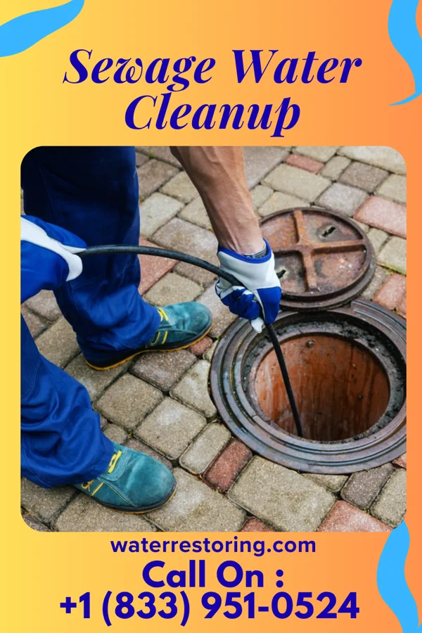 Sewage Water Cleanup in Wetmore, KS